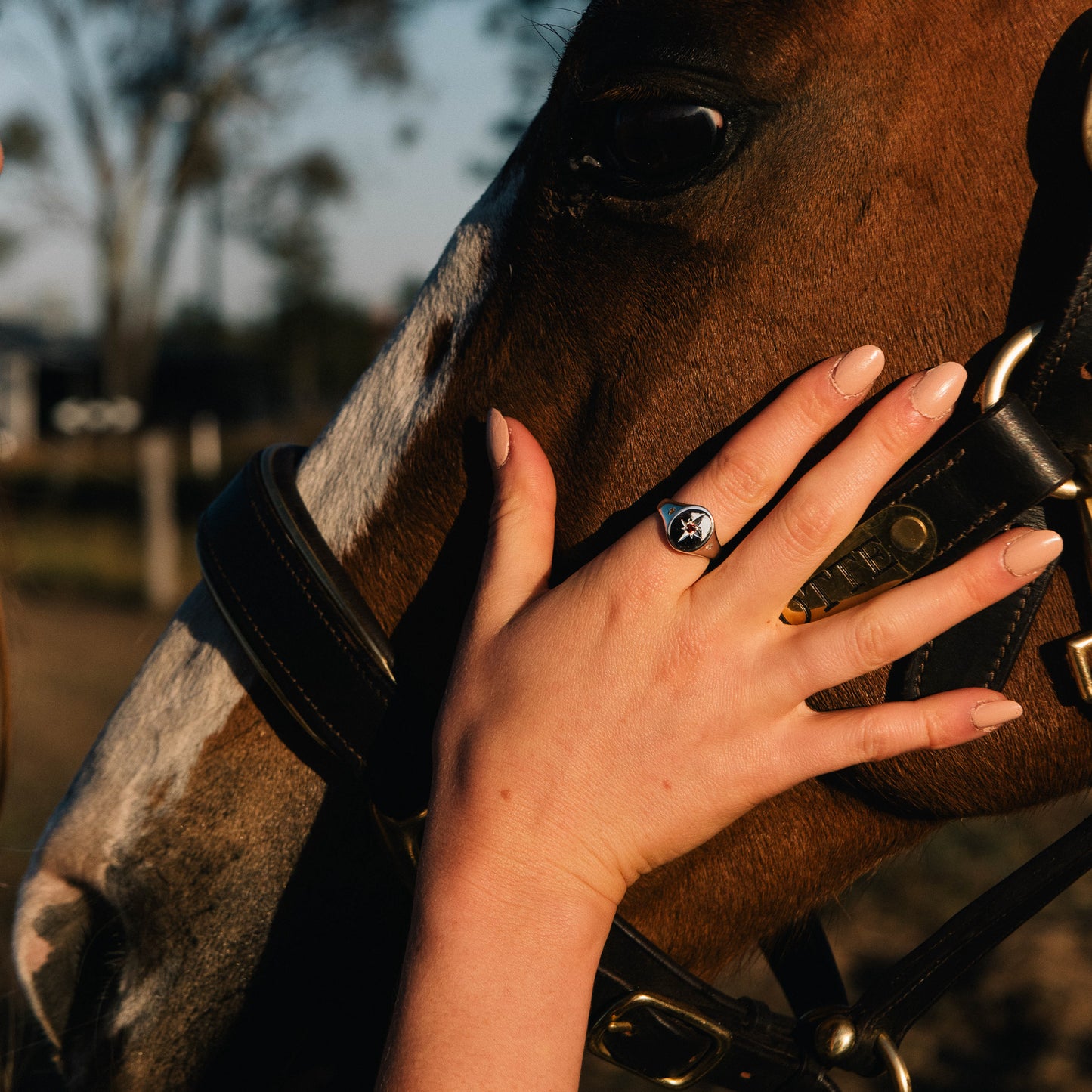 Unity Ring